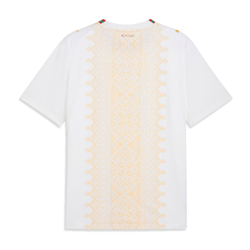 2026 World Cup Morocco Soccer Jersey Player Version Match Version