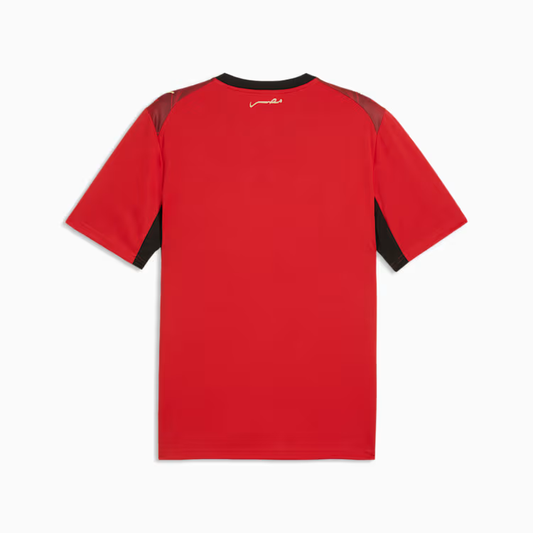 2026 World Cup Egypt Soccer Jersey Player Version Match Version