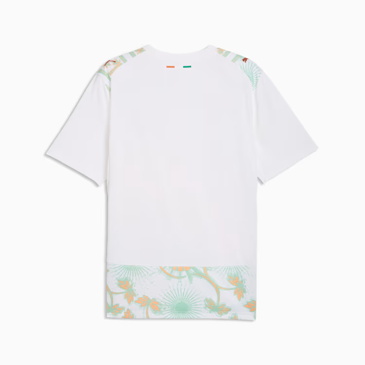 2026 World Cup Côte d'Ivoire Soccer Jersey Player Version Match Version