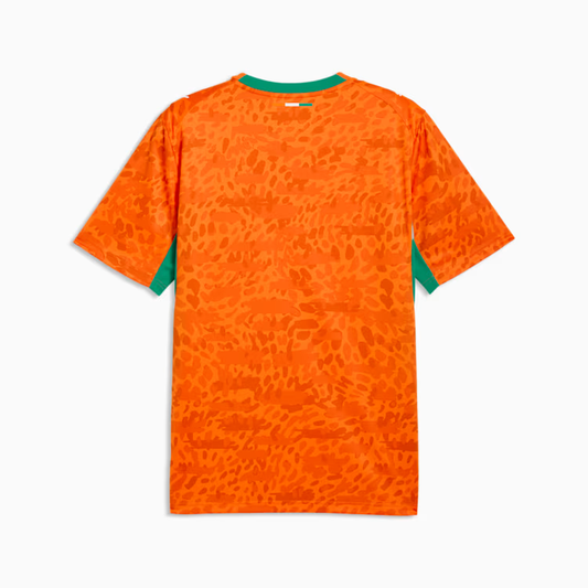 2026 World Cup Côte d'Ivoire Soccer Jersey Player Version  Match Version
