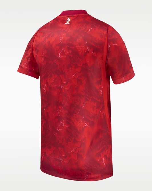 2026 World Cup Poland Soccer Jersey Player Version  Match Version